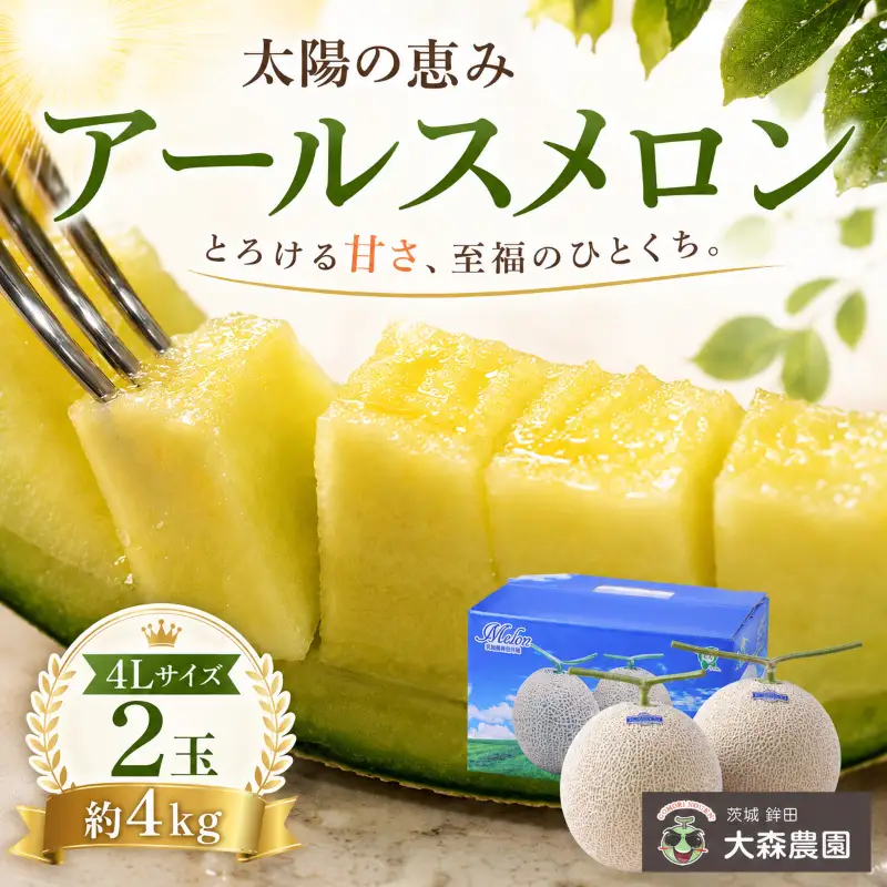太陽の恵み（アールスメロン）4Lサイズ／2玉　約4kg