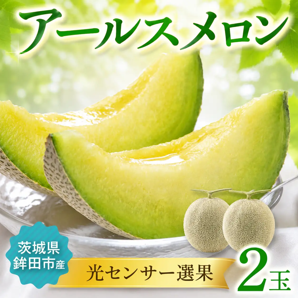 【8月より順次発送】 アールスメロン 2玉 緑肉メロン