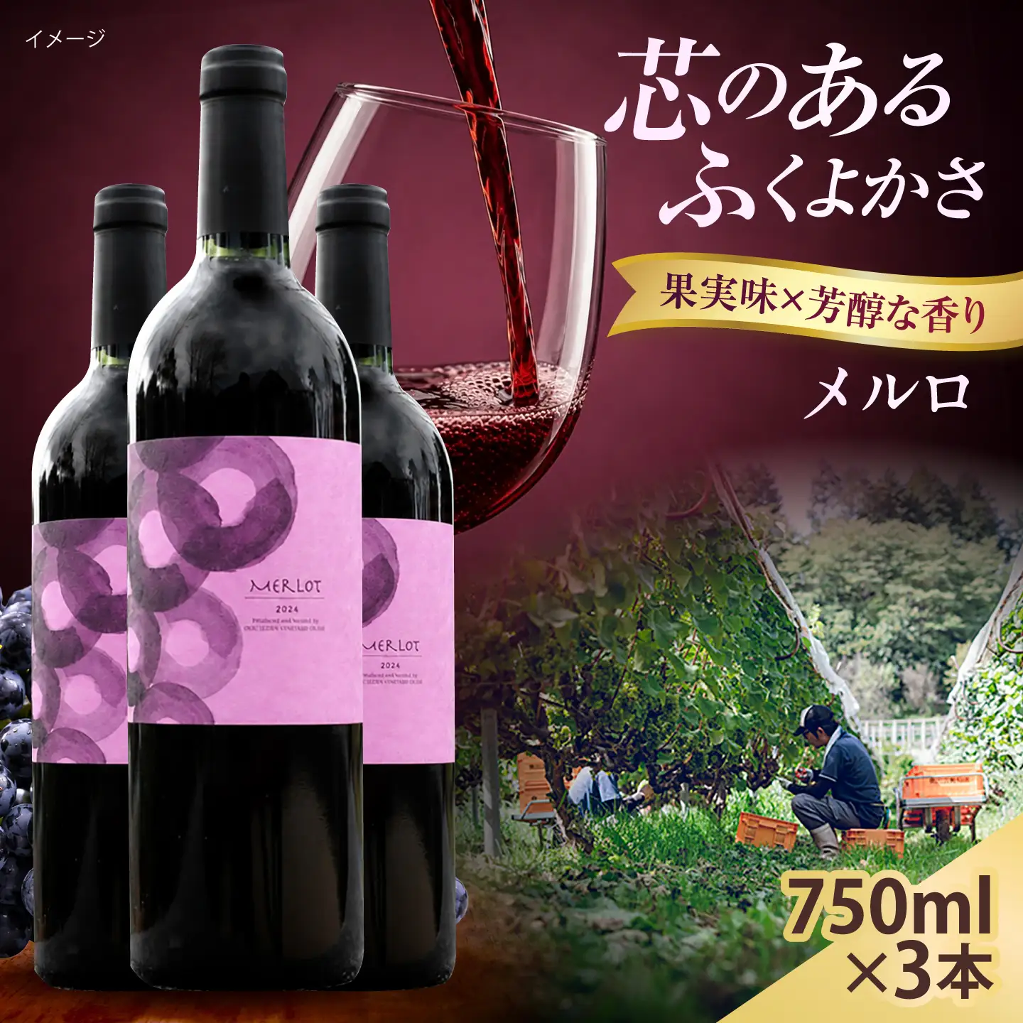 メルロ 3本 750ml×3 赤ワイン [AICS102]
