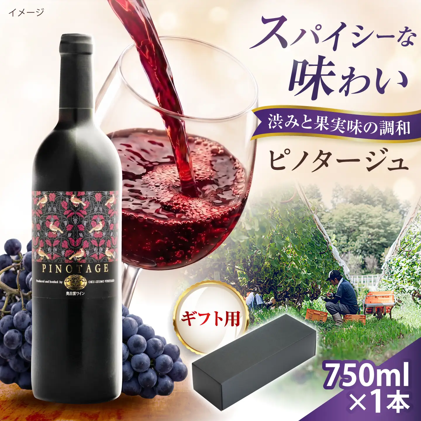 【贈答用】ピノタージュ 1本 750ml 赤ワイン [AICS105]