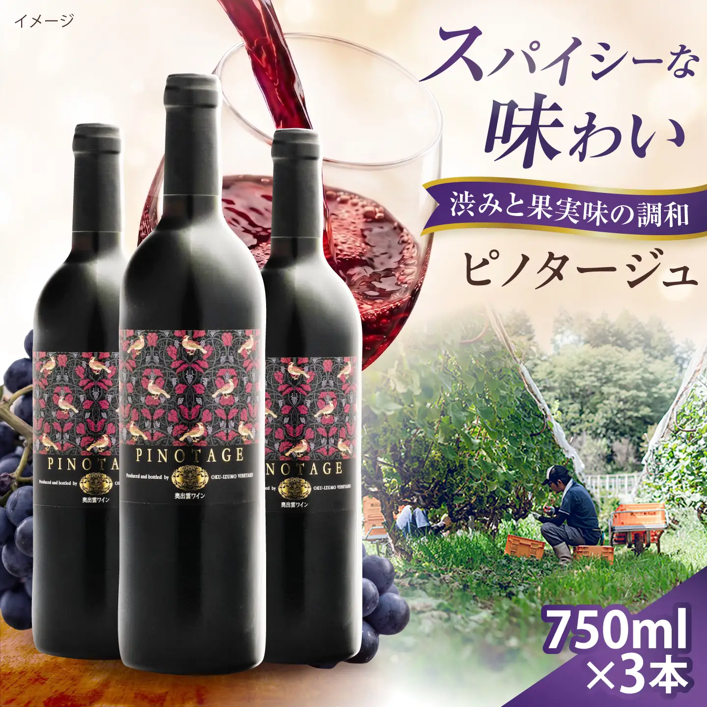 ピノタージュ 3本 750ml×3 赤ワイン [AICS107]