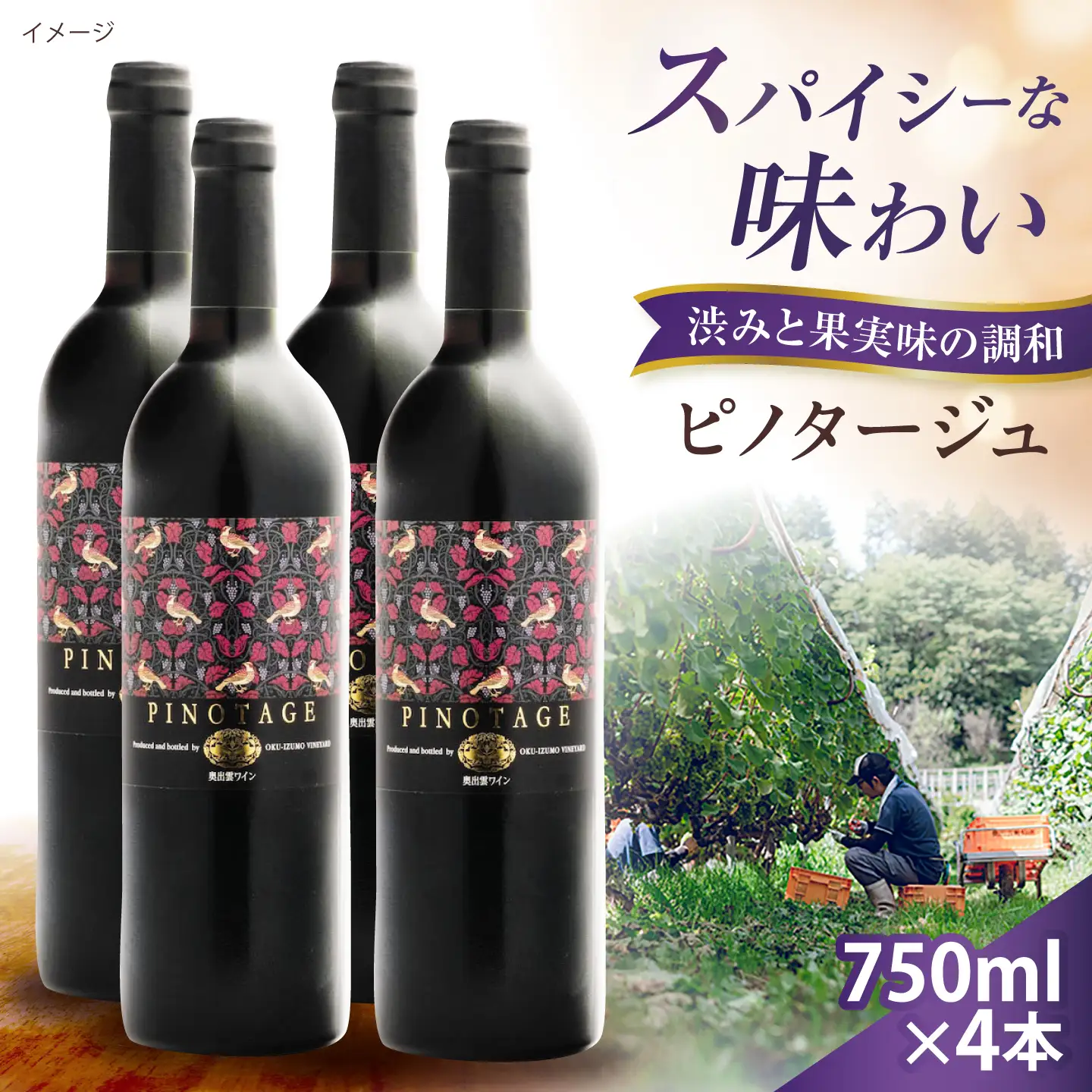 ピノタージュ 4本 750ml×4 赤ワイン [AICS108]
