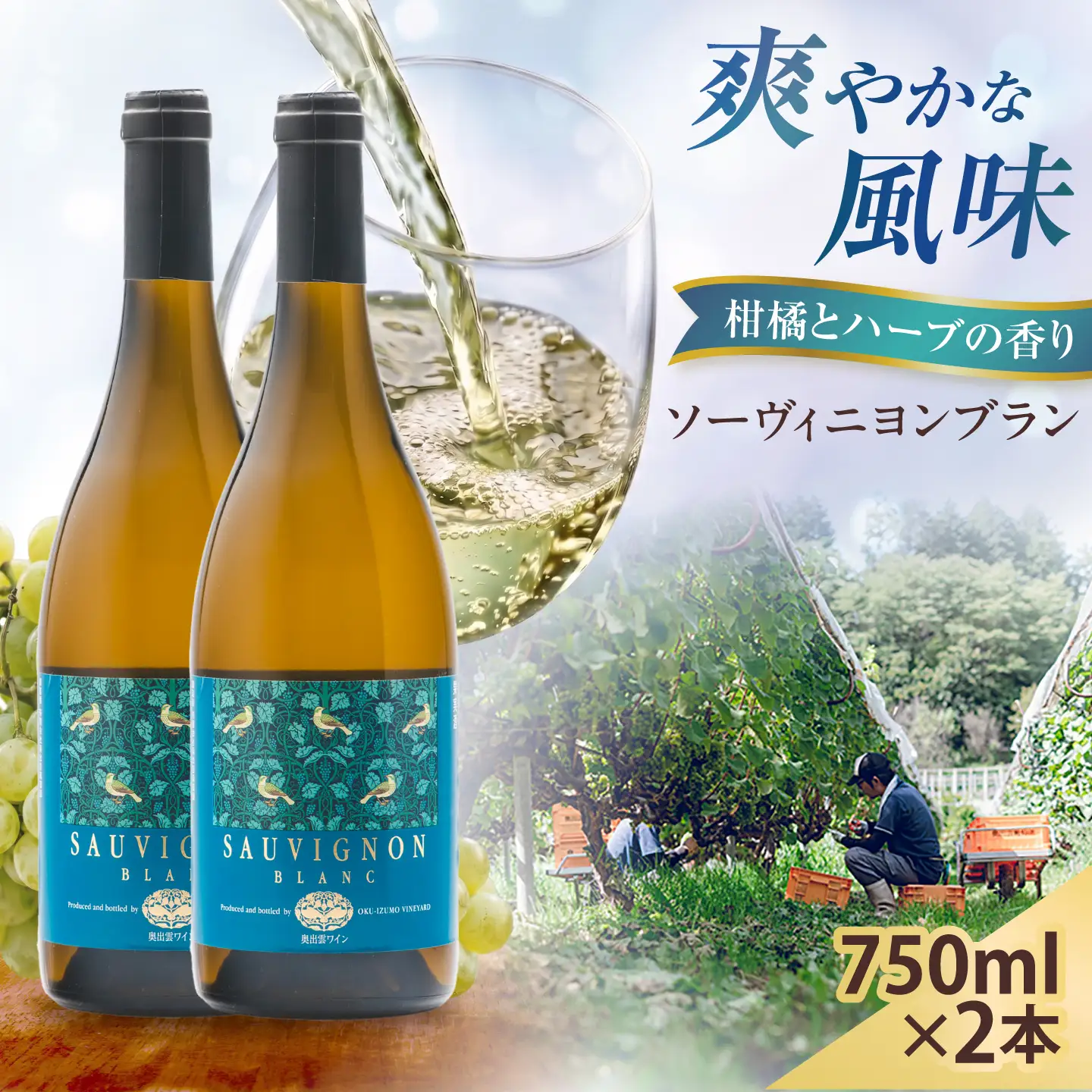 ソーヴィニヨンブラン 2本 750ml×2 白ワイン 国産 島根県雲南市/有限会社奥出雲葡萄園[AICS111]