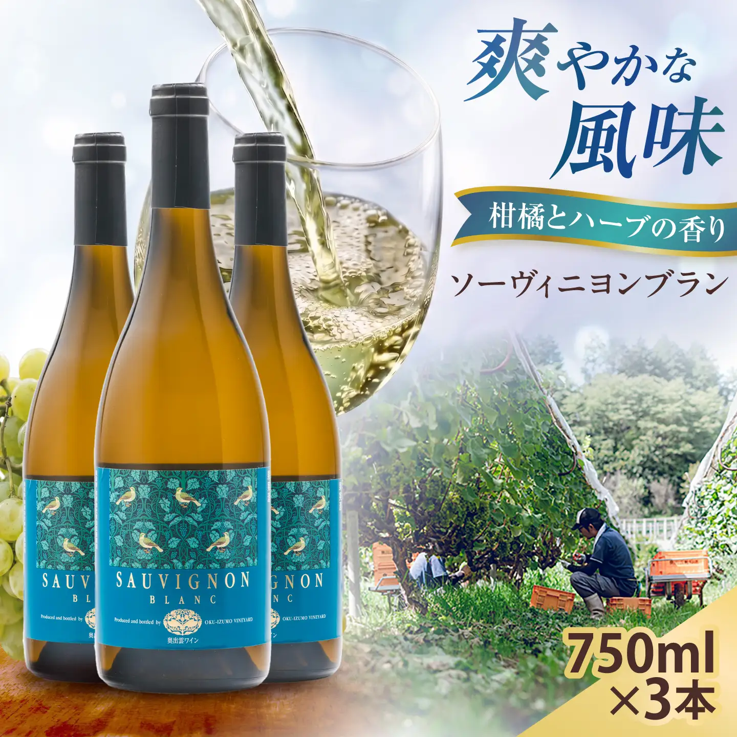 ソーヴィニヨンブラン 3本 750ml×3 白ワイン 国産 島根県雲南市/有限会社奥出雲葡萄園[AICS112]