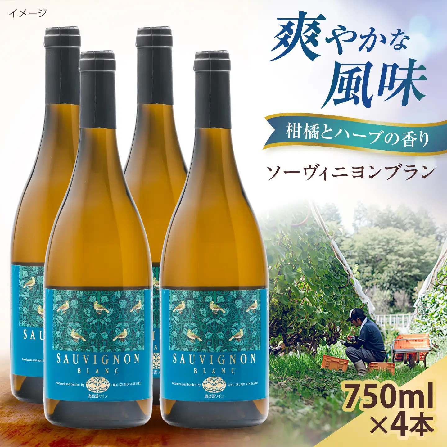 ソーヴィニヨンブラン 4本 750ml×4 白ワイン 国産 島根県雲南市/有限会社奥出雲葡萄園[AICS113]