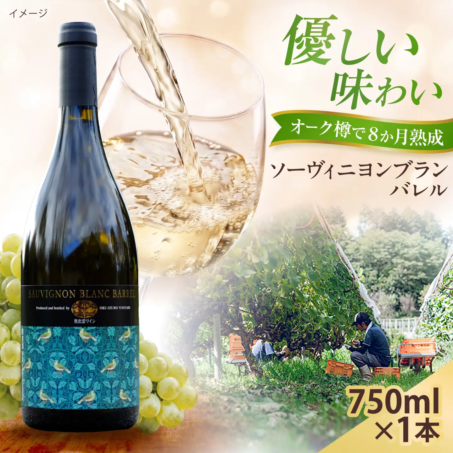 ソーヴィニヨンブランバレル 1本 750ml 白ワイン 樽熟成 国産 島根県雲南市/有限会社奥出雲葡萄園[AICS114]