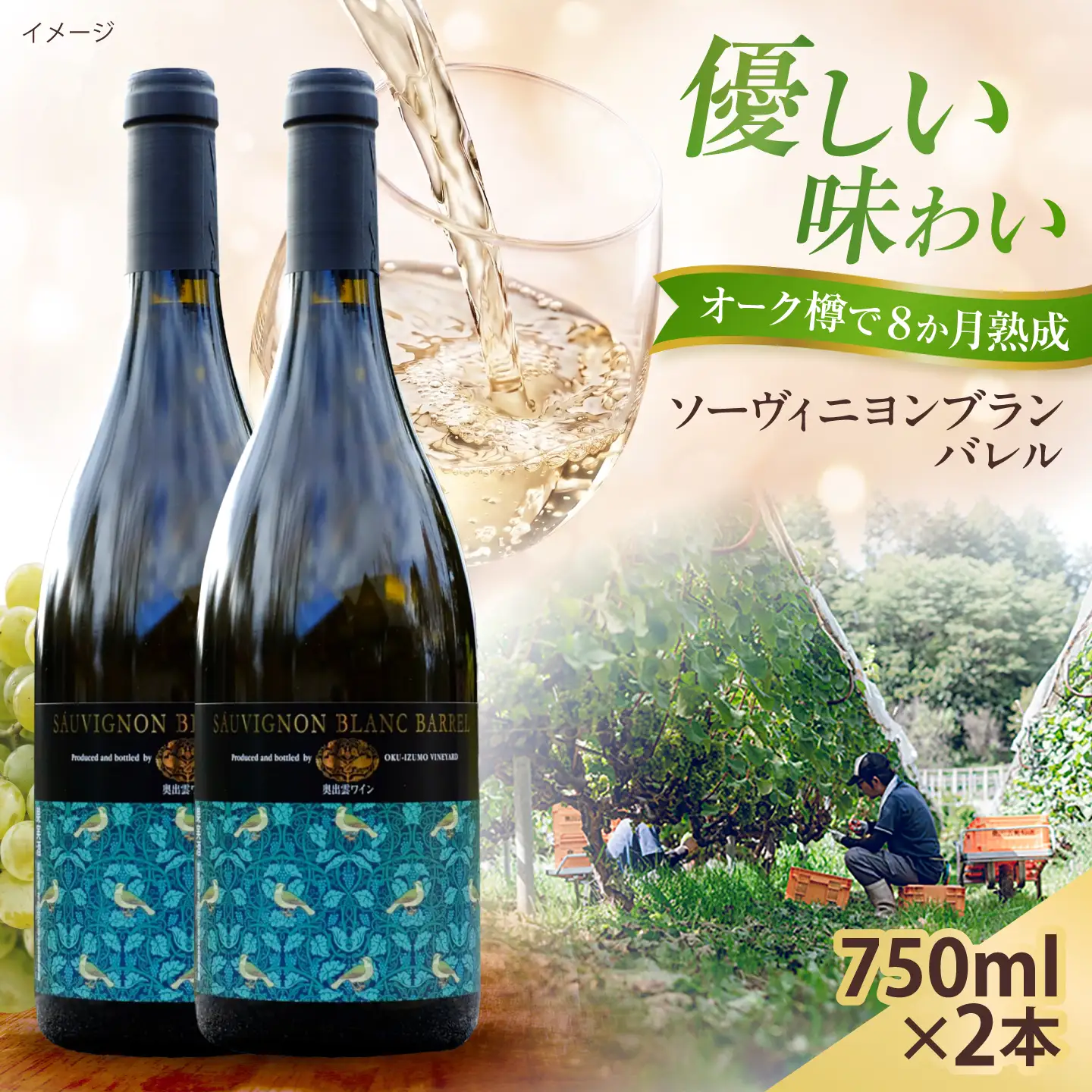 ソーヴィニヨンブランバレル 2本 750ml×2 白ワイン 樽熟成 国産 島根県雲南市/有限会社奥出雲葡萄園[AICS116]
