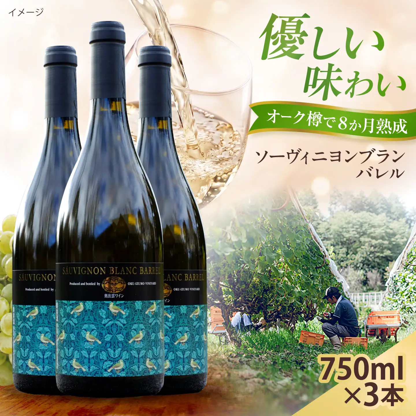 ソーヴィニヨンブランバレル 3本 750ml×3 白ワイン 樽熟成 国産 島根県雲南市/有限会社奥出雲葡萄園[AICS117]