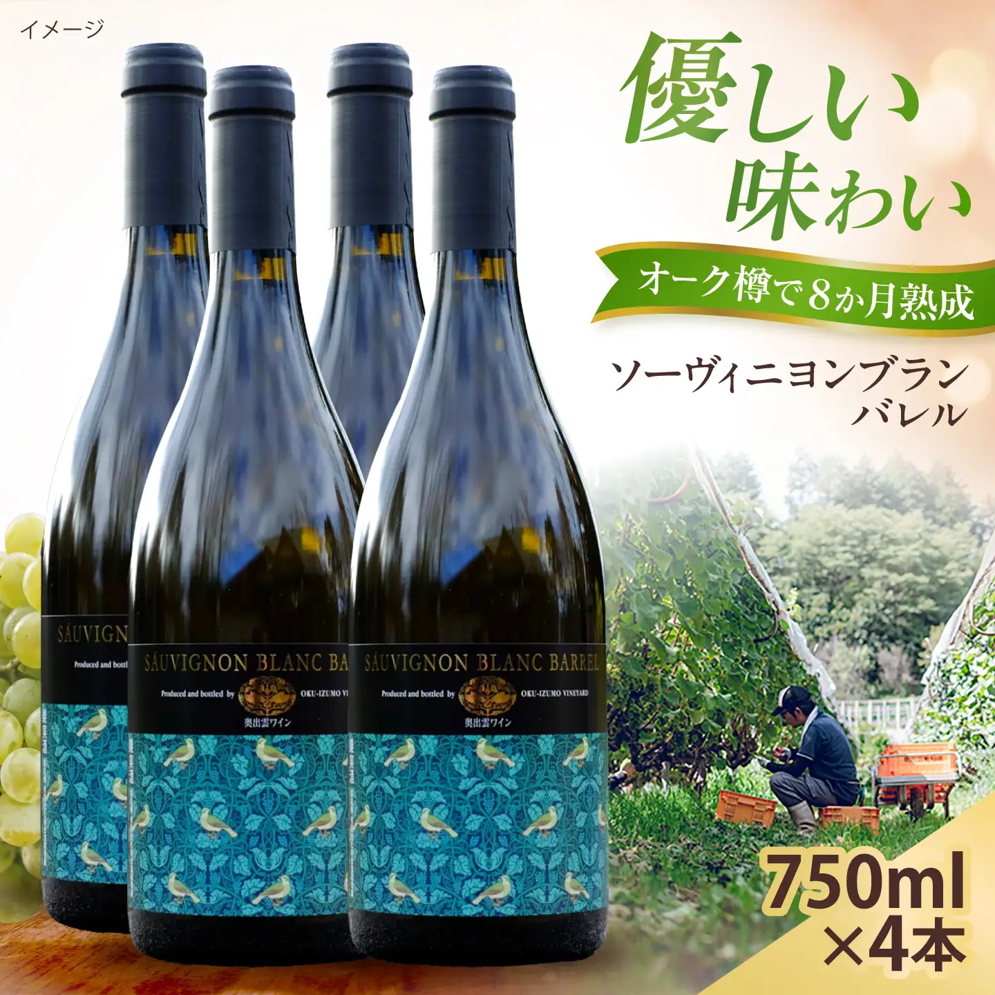 ソーヴィニヨンブランバレル 4本 750ml×4 白ワイン 樽熟成 国産 島根県雲南市/有限会社奥出雲葡萄園[AICS118]