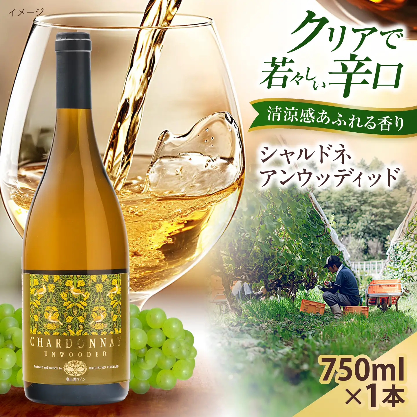 シャルドネアンウッディッド 1本 750ml 白ワイン 国産 島根県雲南市/有限会社奥出雲葡萄園[AICS119]