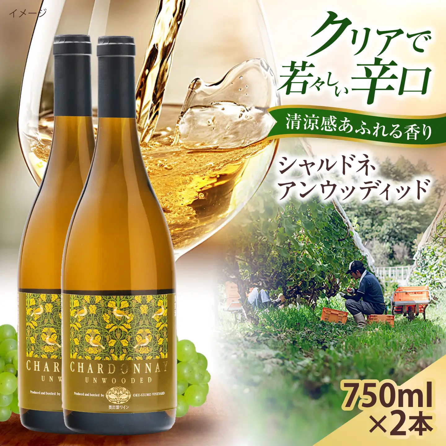 シャルドネアンウッディッド 2本 750ml×2 白ワイン 国産 島根県雲南市/有限会社奥出雲葡萄園[AICS121]