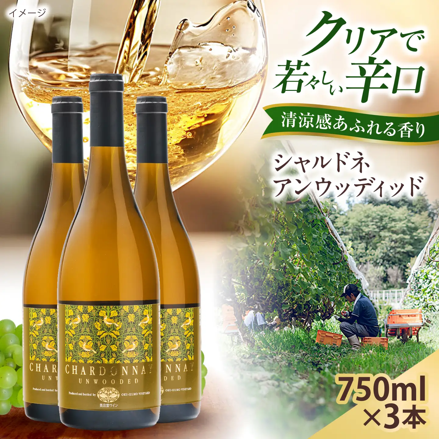 シャルドネアンウッディッド 3本 750ml×3 白ワイン 国産 島根県雲南市/有限会社奥出雲葡萄園[AICS122]