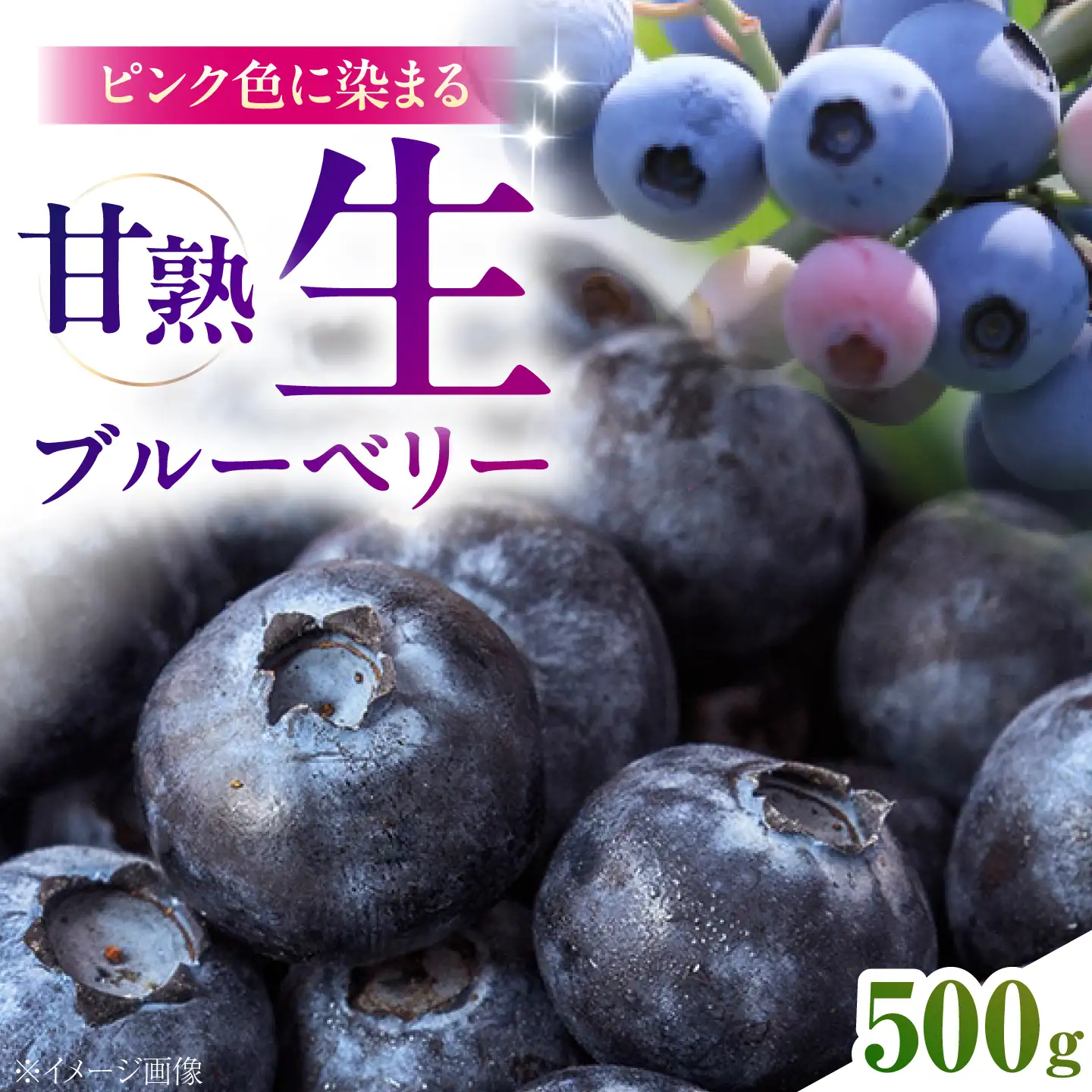 【10個限定】ブルーベリー500g(1パック) ブルーベリー [AIET001]