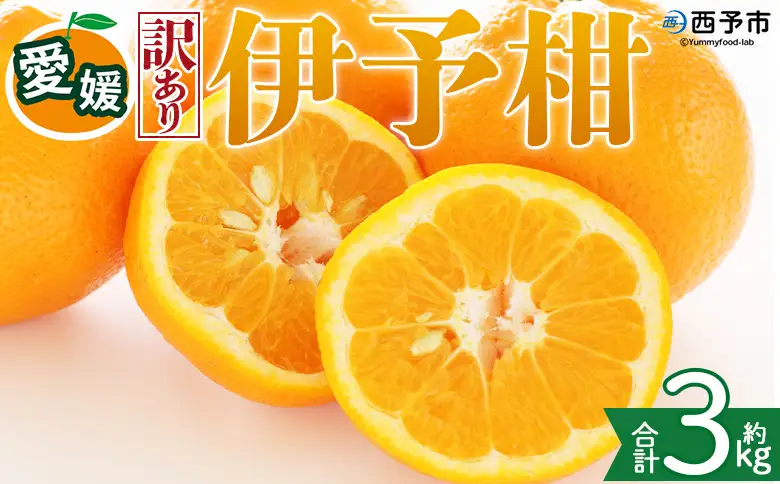 ＜【訳あり】愛媛県産 伊予柑 約3kg＞『2027年1月上旬～3月下旬迄順次発送予定』わけあり 訳アリ 果肉 いよかん ジューシー みかん 蜜柑 果物 くだもの フルーツ ミカン 果汁 国産 特産品 株式会社三代目みかん職人 愛媛 西予市【常温】OSM0027