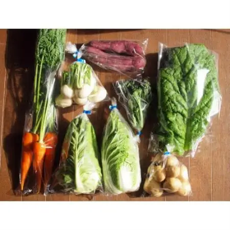 おまかせ野菜セット(2026年11月上旬～発送予定)【配送不可地域：離島】【1750233】