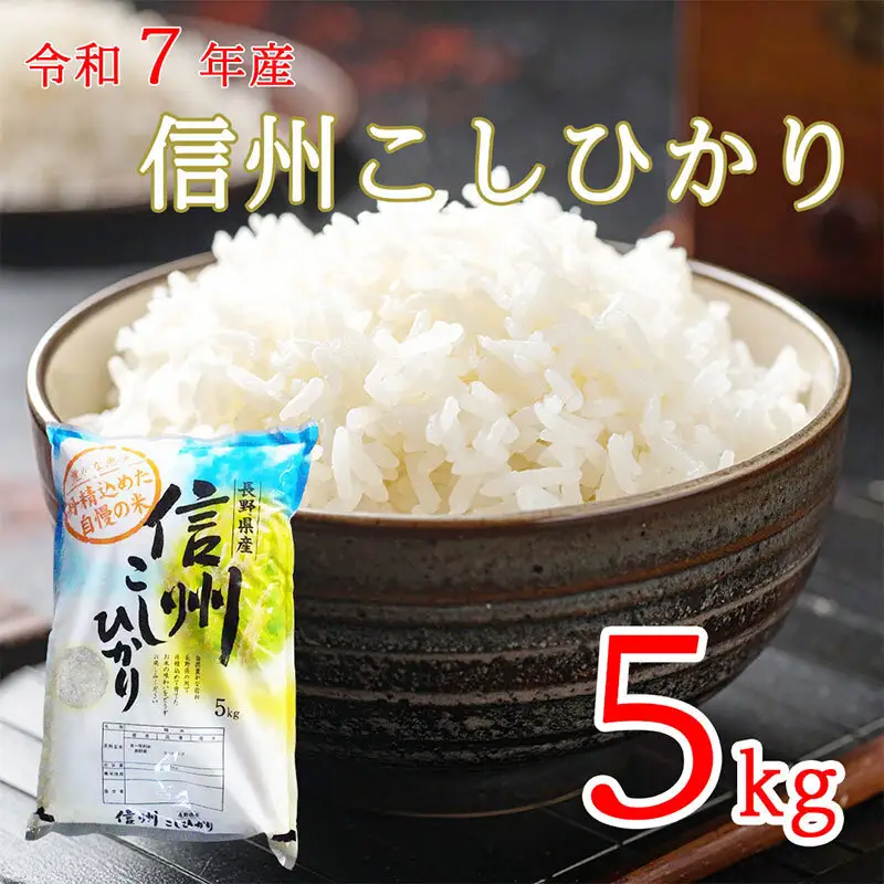 こしひかり 精白米 農家直送 長野県産 こしひかり【5kg】