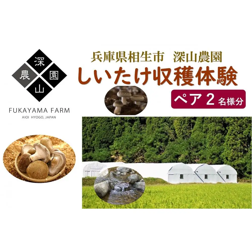 【兵庫県相生市】深山農園の 「収穫体験ペアチケット」
