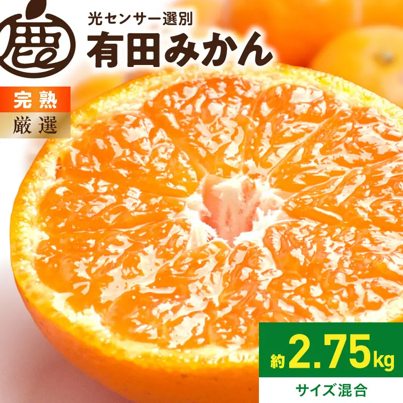厳選 完熟有田みかん約2.5kg+250g（傷み補償分）【光センサー選果】_ZH7122