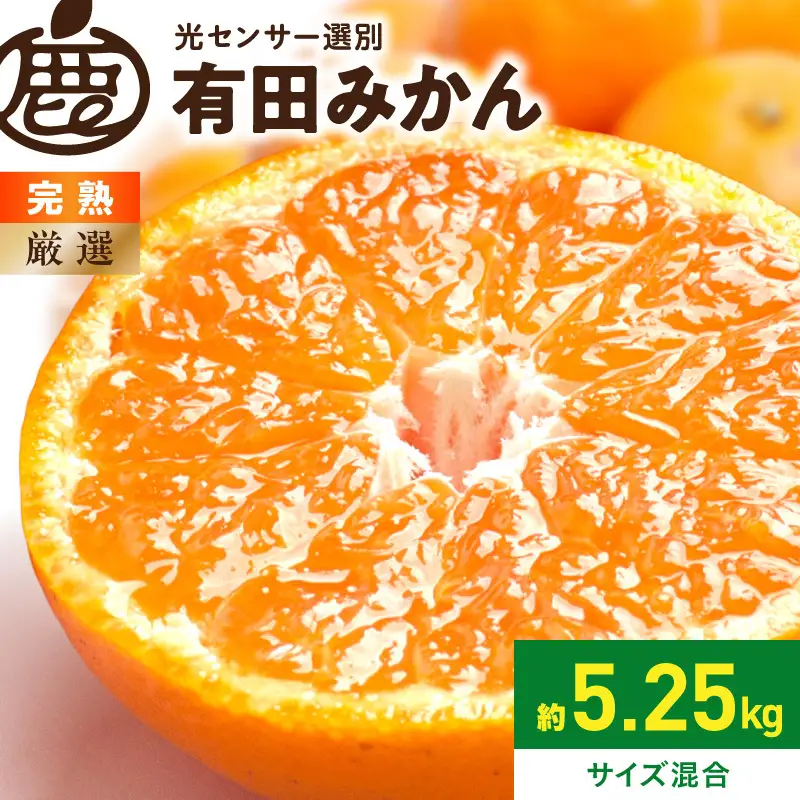 厳選 完熟有田みかん約5kg+250g（傷み補償分）【光センサー選果】_ZH7124