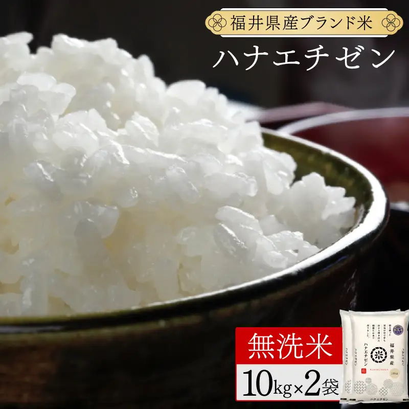 福井県産 ハナエチゼン 無洗米 20kg（10kg×2）＜令和8年産＞[095-a628]