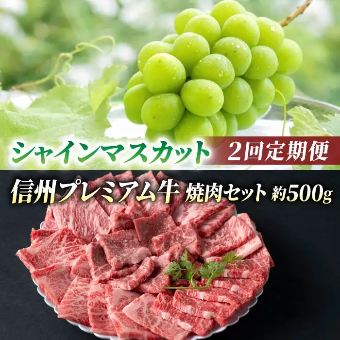 【2回定期便】信州プレミアム牛肉（焼肉用500g）・シャインマスカット2房｜【小田切牧場／JA信州うえだ】ぶどう 葡萄 大粒 果物 フルーツ 和牛 頒布会 長野