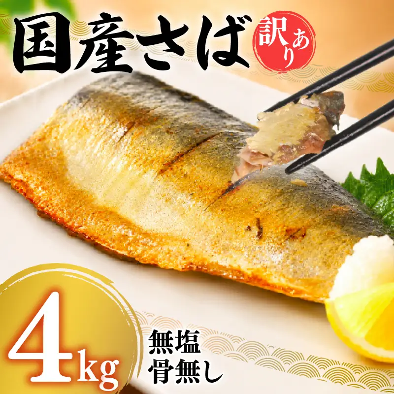 さば フィーレ 4kg 訳あり 国産さば NV