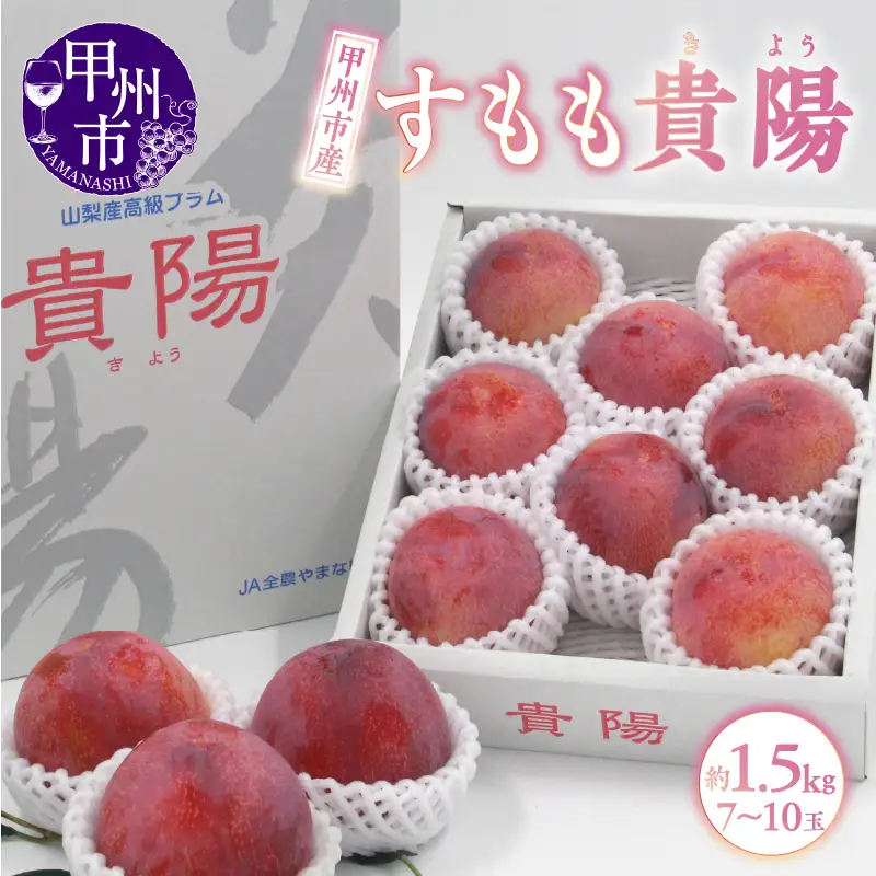 甲州市産 すもも『貴陽』約1.5kg（化粧箱中玉7～10玉）【2027年発送】（APX）B12-195 すもも フルーツ