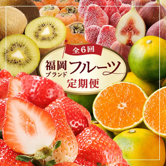 ＜全6回・定期便＞ 福岡ブランド！旬果と冷凍 フルーツ定期便 (総計約13.4kg) あまおう とよみつひめ 秋王 早味かん 甘うぃ いちご 苺 柿 いちじく みかん 蜜柑 キウイ フルーツ 果物 ＜離島配送不可＞【ksg1919】【農産物直売所ほたるの里】