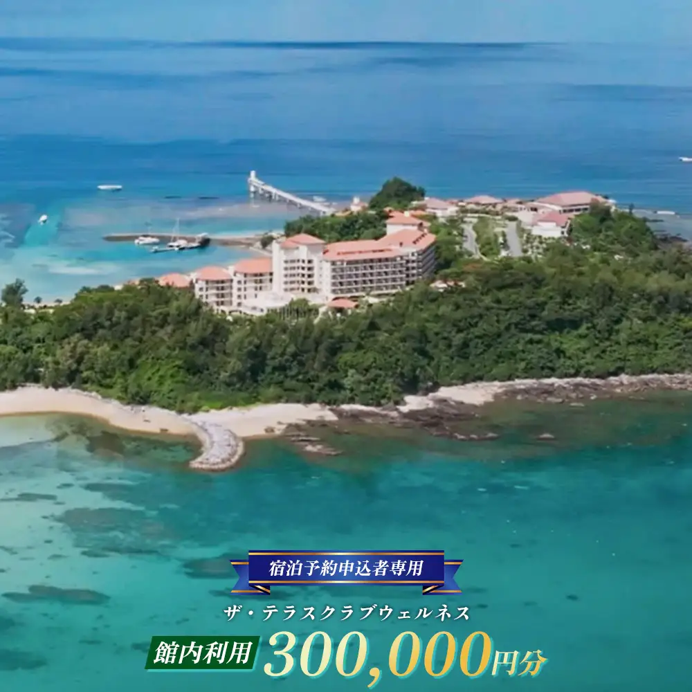 【宿泊予約申込者専用】ザ・テラスクラブウェルネス館内利用（30万円分） 宿泊券 ホテル 宿 旅行 1泊2日 人気 おすすめ ギフト プレゼント 贈り物 バカンス 海 カップル 家族 ファミリー 友人 名護市 サプライズ 新婚 誕生日