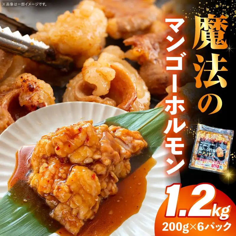 ホルモン 牛肉 ホルモン[マンゴーソース 特製ダレ 1.2kg]