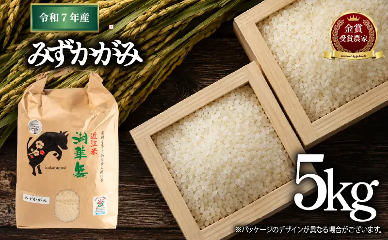 米 令和7年産 みずかがみ 5kg 白米 【KK010】 近江米 精米 お米