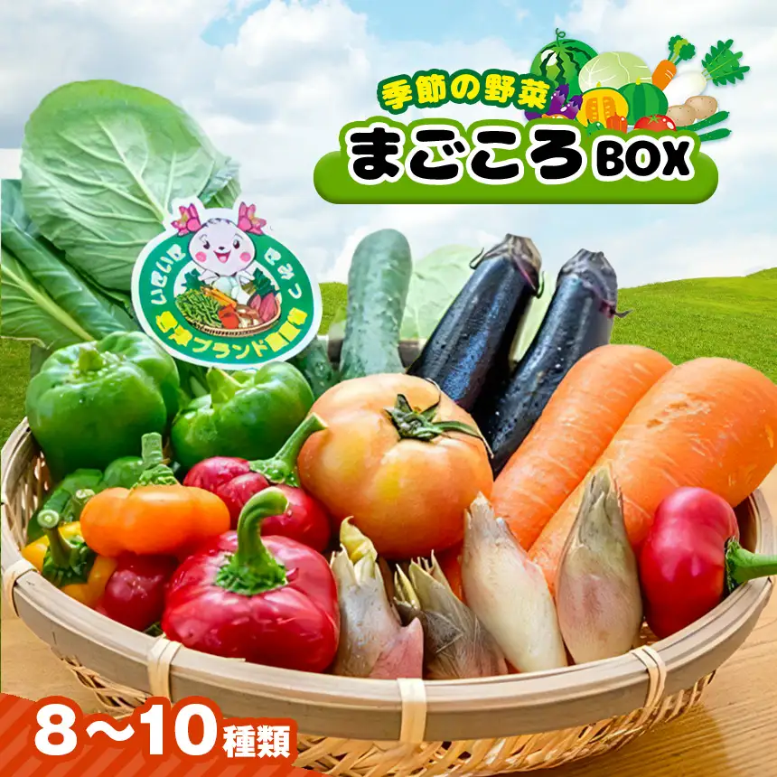 季節の野菜まごころBOX 人気の直売所 JAきみつ味楽囲さだもと店 | 野菜  詰合せ セット  旬野菜 新鮮 千葉県 君津市