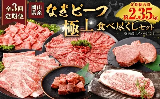 【 全3回定期便 】 岡山県産 なぎビーフ 極上食べ尽くし セット お肉 肉 おにく にく 牛肉 ぎゅうにく 国産 ブランド牛 詰め合わせ シャトーブリアン ステーキ ロース 焼肉 すきやき しゃぶしゃぶ