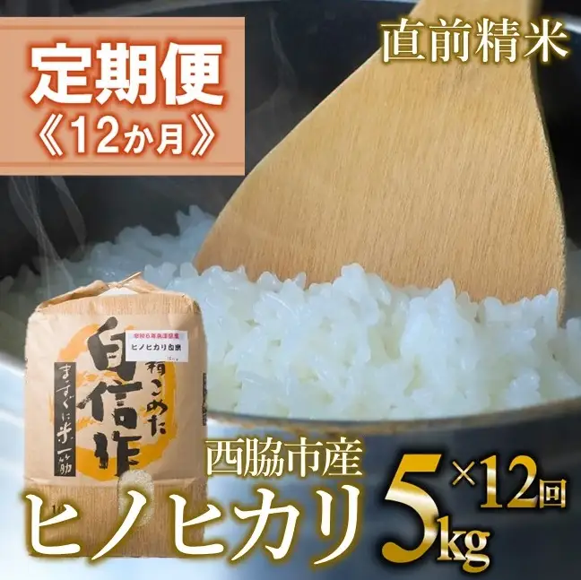 【定期便 12か月 ヒノヒカリ】白米5kg（12か月連続お届け）2025年産　米 お米 米5㎏ お米5㎏ 兵庫県産 ひのひかり