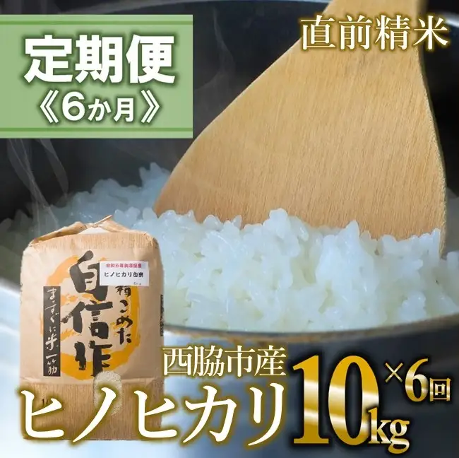 【定期便 6か月 ヒノヒカリ】白米10kg（6か月連続お届け）2025年産 米 お米 米10㎏ お米10㎏ 兵庫県産 ひのひかり