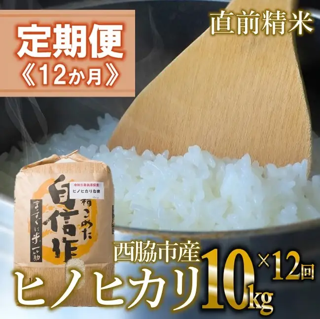 【定期便 12か月 ヒノヒカリ】白米10kg（12か月連続お届け）2025年産　米 お米 米10㎏ お米10㎏ 兵庫県産 ひのひかり