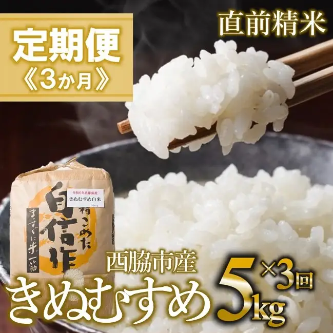 【定期便 3か月 きぬむすめ】白米5kg（3か月連続お届け）新米 2025年産 米 お米 米5㎏ お米5㎏ 兵庫県産 きぬむすめ