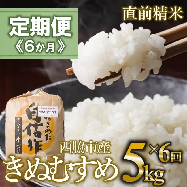 【定期便 6か月 きぬむすめ】白米5kg（6か月連続お届け）新米 2025年産 米 お米 米5㎏ お米5㎏ 兵庫県産 きぬむすめ