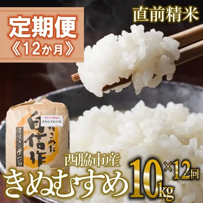【定期便 12か月 きぬむすめ】白米10kg（12か月連続お届け）新米 2025年産 米 お米 米10㎏ お米10㎏ 兵庫県産 きぬむすめ