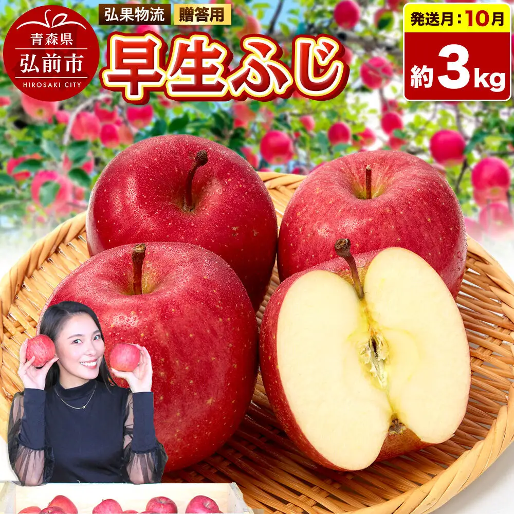 【26年10月発送】りんご 早生ふじ【贈答用】約3kg 青森県 弘前市