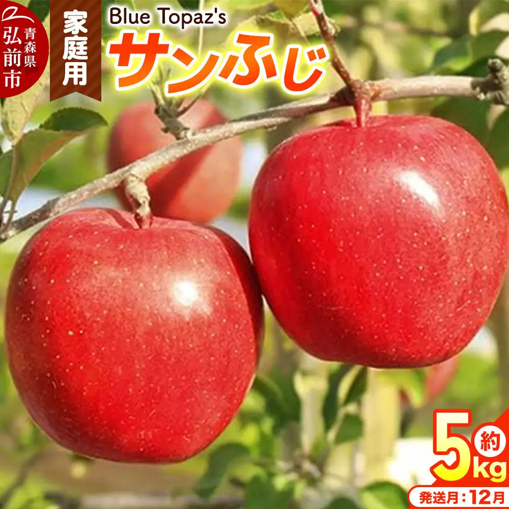【26年12月発送】りんご サンふじ【家庭用】約5kg 青森県 弘前市