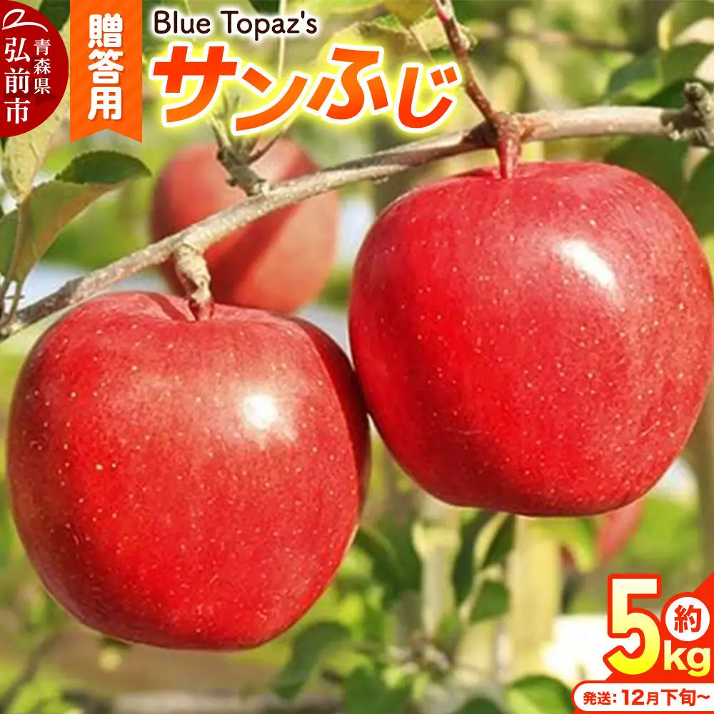 【26年12月下旬～発送】りんご サンふじ【贈答用】約5kg 内のし付き 青森県 弘前市
