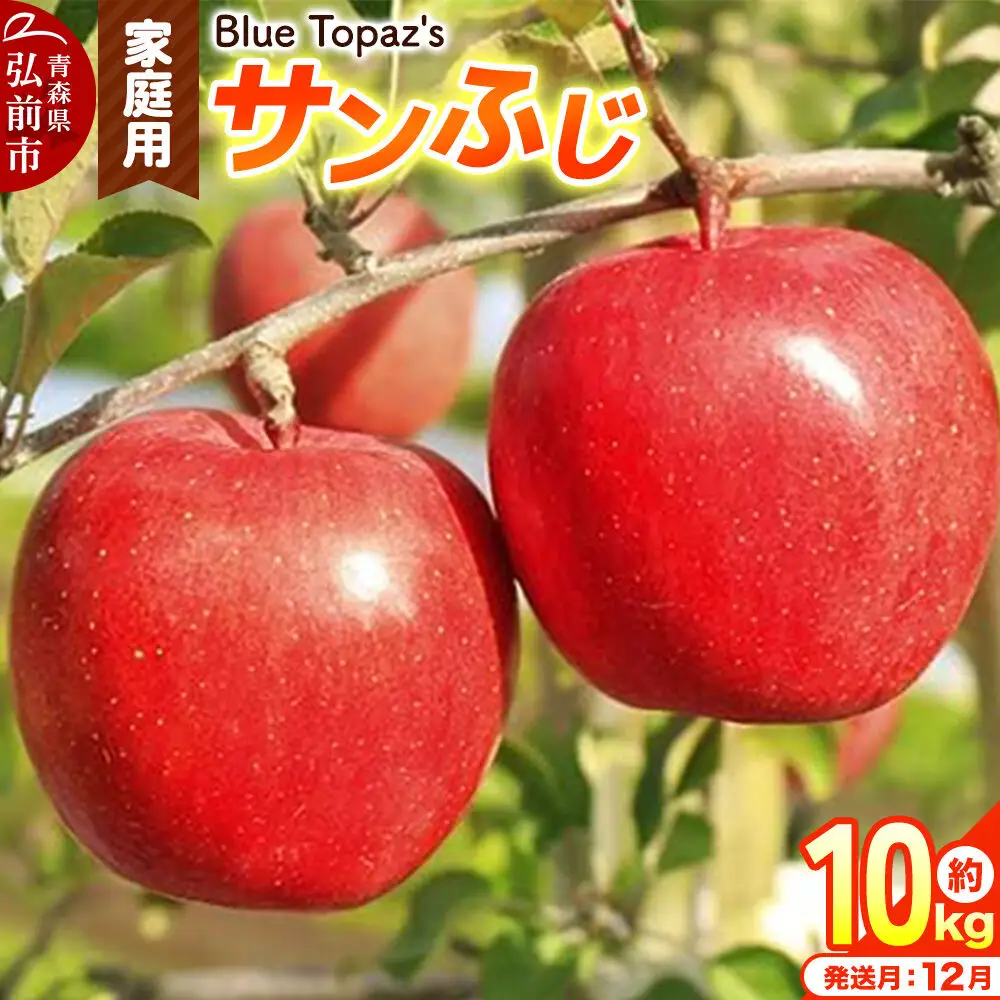 【26年12月発送】りんご サンふじ【家庭用】約10kg 青森県 弘前市