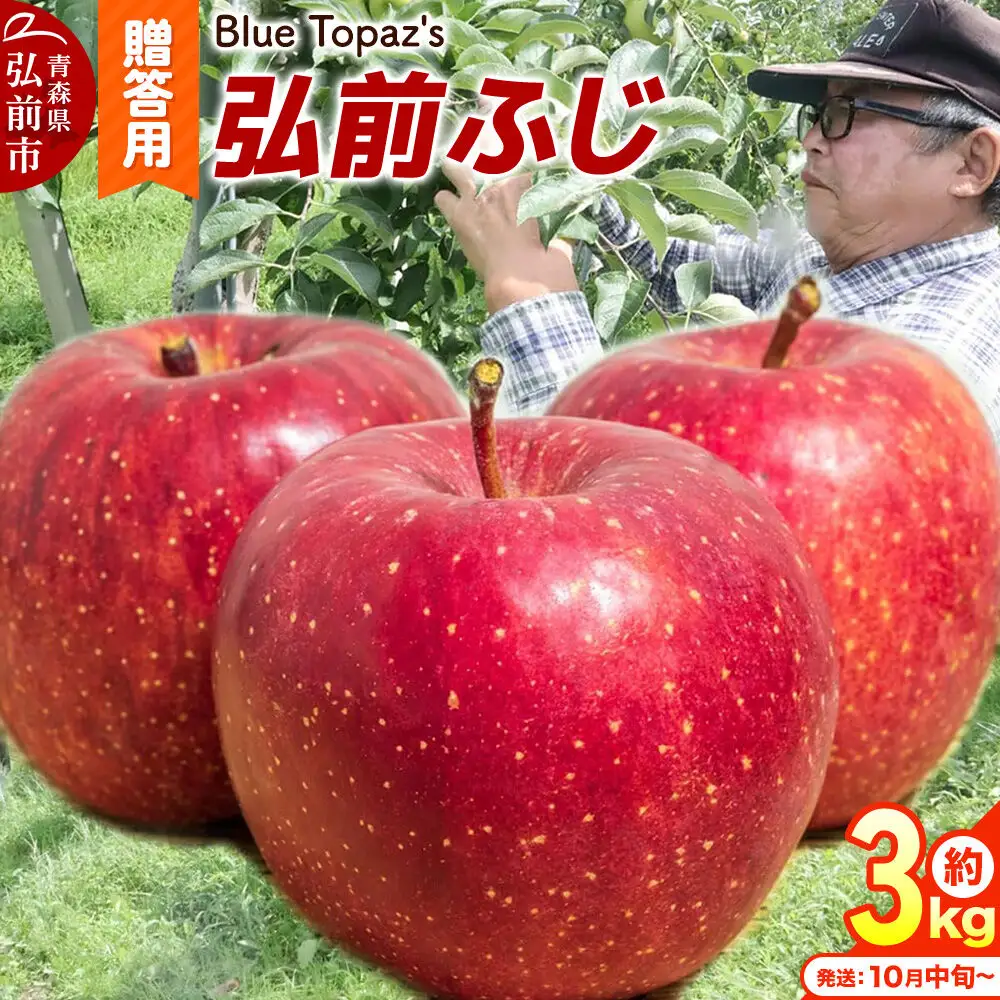 【26年10月中旬～発送】りんご 弘前ふじ【贈答用】約3kg 内のし付き 青森県 弘前市