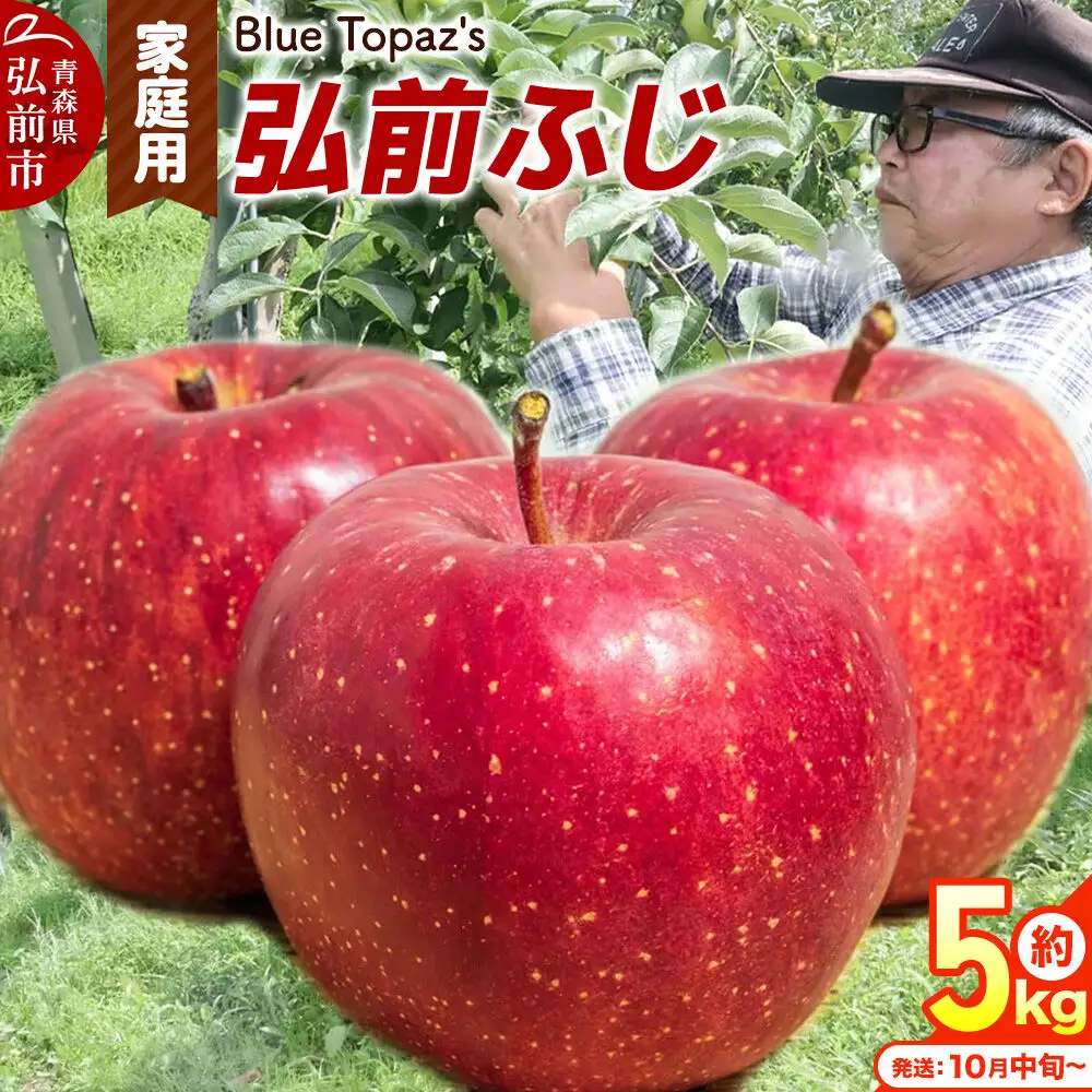 【26年10月中旬～発送】りんご 弘前ふじ【家庭用】約5kg 青森県 弘前市