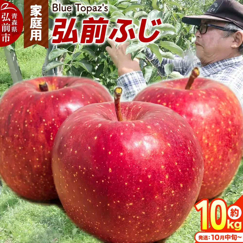 【26年10月中旬～発送】りんご 弘前ふじ【家庭用】約10kg 青森県 弘前市