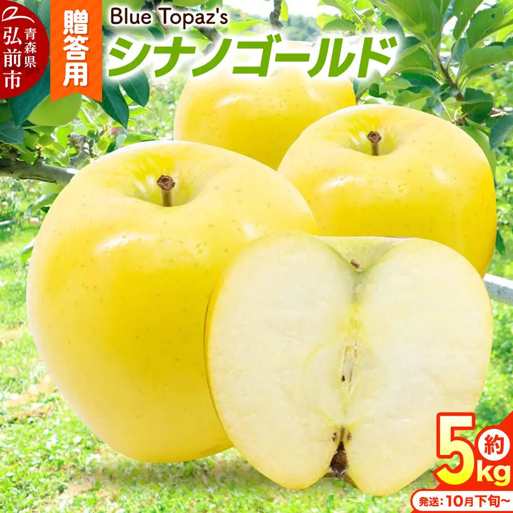 【26年10月下旬～発送】りんご シナノゴールド【贈答用】約5kg 内のし付き 青森県 弘前市