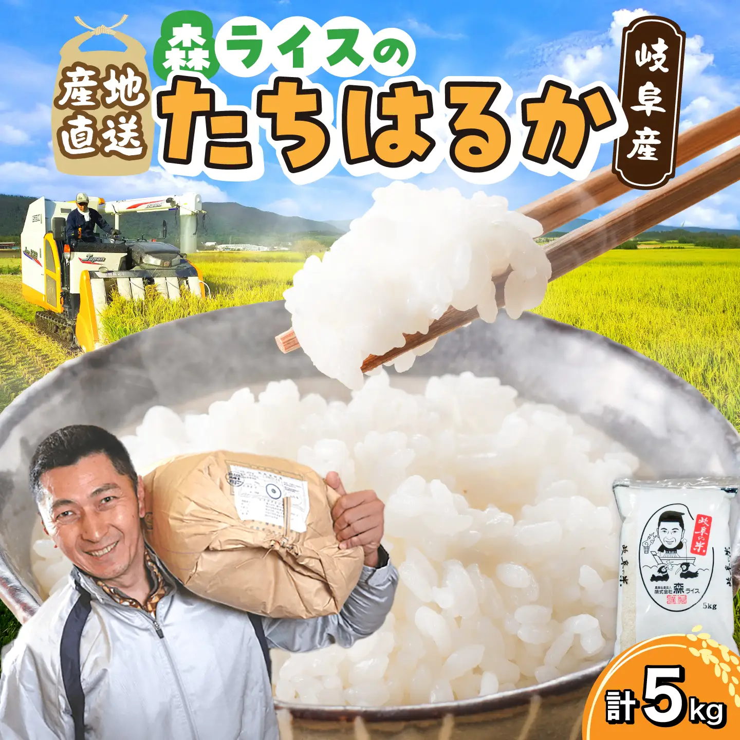 たちはるか 5kg 白米 米 精米 お米 岐阜市 / 森ライス[ANCU018]