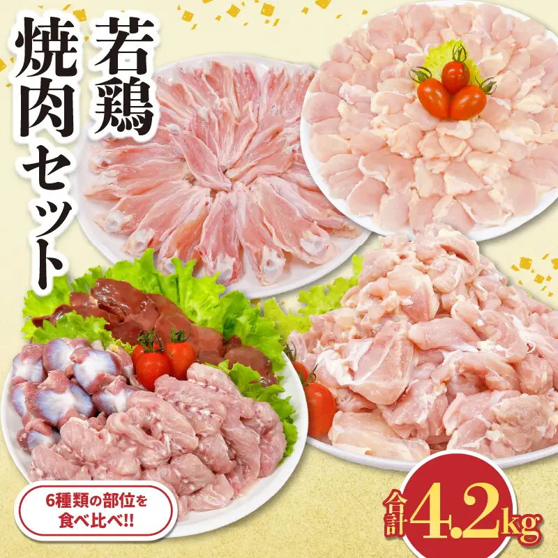 若鶏 焼肉 セット 合計4.2kg 鶏肉 国産 チキン_DA62-26