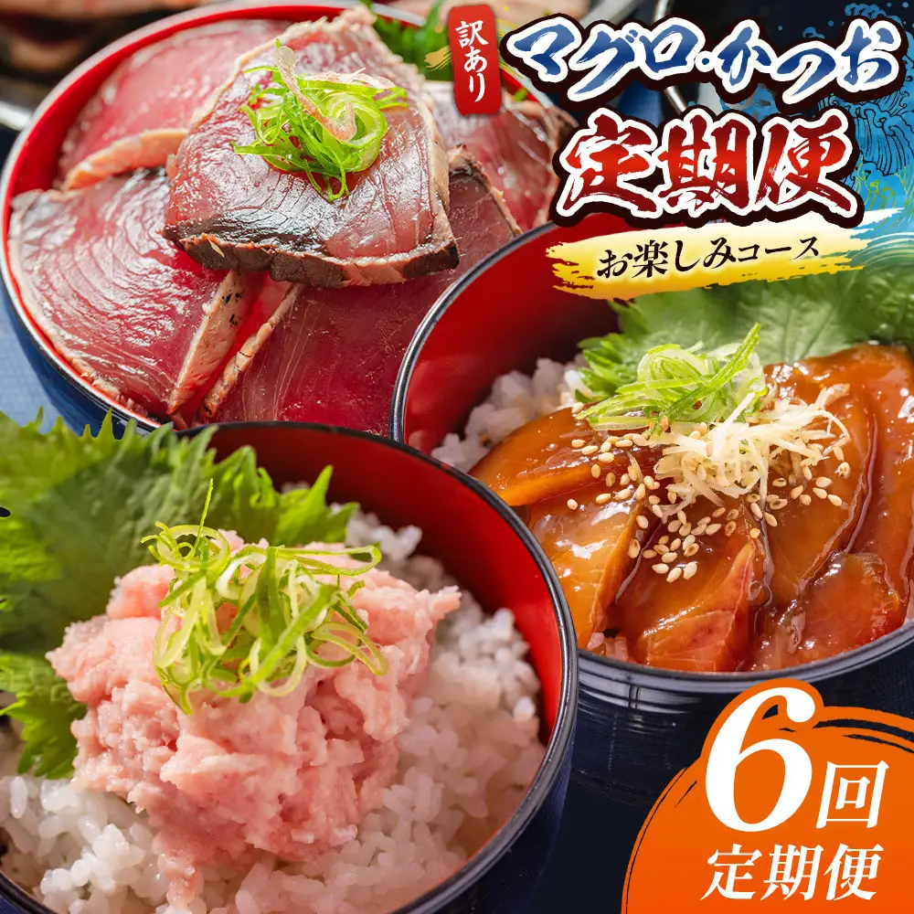 【定期便/計6回】海鮮【惣菜海鮮】 Wda-0052
